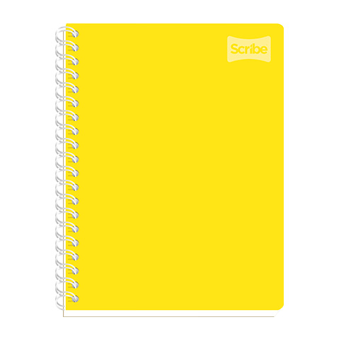 CUADERNO PROFESIONAL SCRIBE POLYCOVER 2050 100 HOJAS RAYA