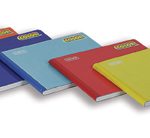 CUAD COSIDO F/I NORMA COLOR 520564 100H RAYA