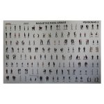 MAQUETA PARA ARMAR SUN RISE PERSONAS 2