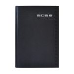 AGENDA DIARIA SHOT DANPEX SH213-26-GRA GRAFITO  2026