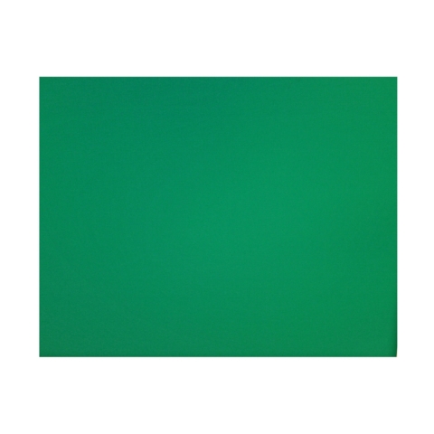 CARTULINA REFLEX 50X65 CMS. VERDE BANDERA  PLIEGO