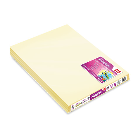 CARTULINA EXPRESSION SCRIBE CANARIO 135 GRS. 50X65 CMS. PLIEGO
