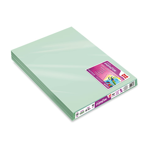 CARTULINA EXPRESSION SCRIBE VERDE 135 GRS. 50X65 CMS. PLIEGO